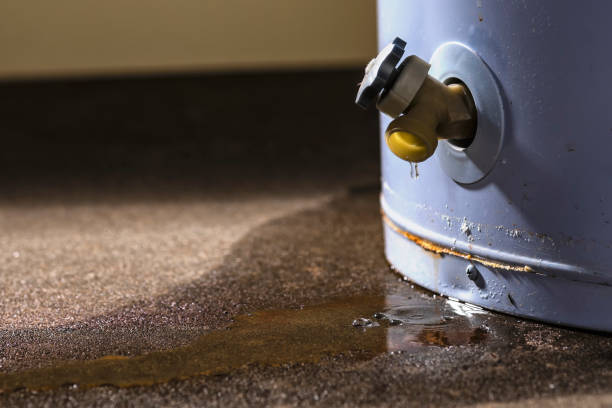 Best Professional water damage repair  in Folsom, PA