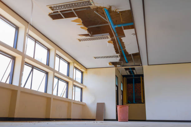 Best Ceiling water damage repair  in Folsom, PA