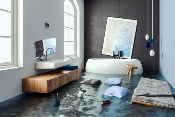 Best Water damage cleanup near me  in Folsom, PA