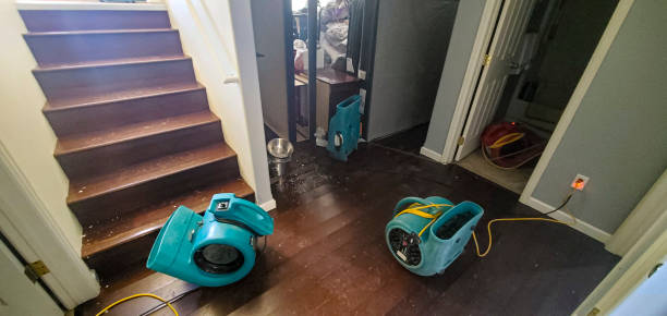 Best Fire Damage Restoration  in Folsom, PA