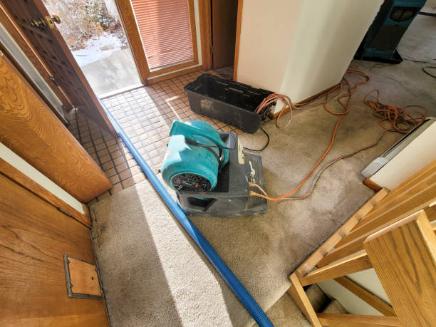 Best Flood restoration services  in Folsom, PA