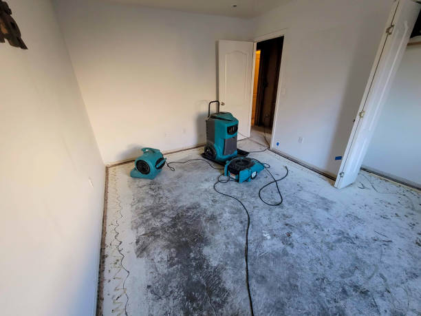 Best Carpet water damage restoration  in Folsom, PA