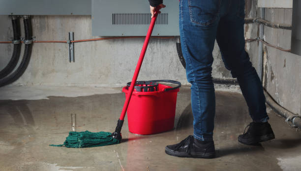 Best Flood damage cleanup  in Folsom, PA