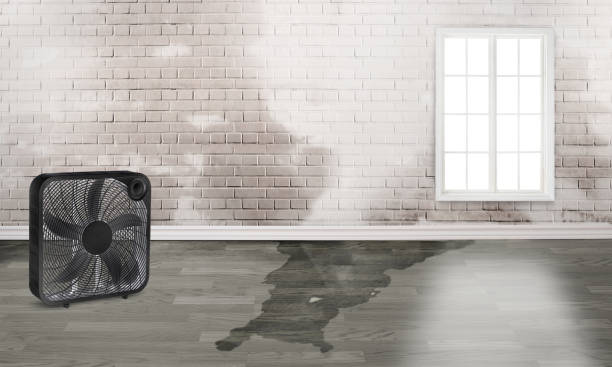 Best 24/7 water damage repair  in Folsom, PA