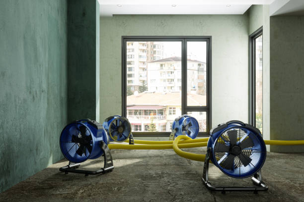 Best 24-hour water damage restoration  in Folsom, PA
