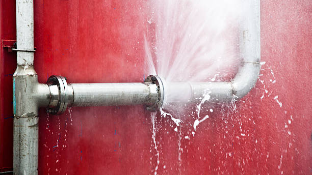 Best Water damage restoration experts  in Folsom, PA
