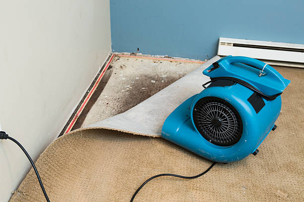 Best Commercial water damage restoration  in Folsom, PA